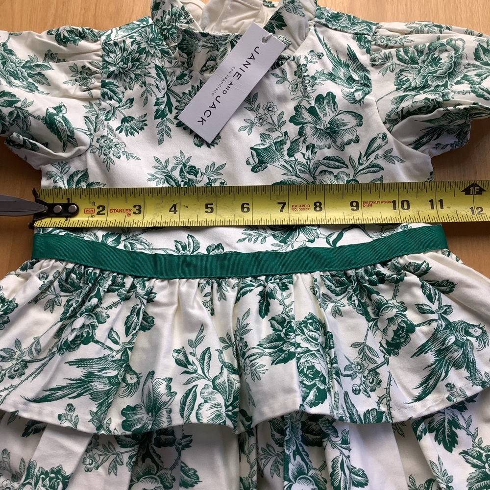 NWT JANIE AND JACK FLORAL TOILE DRESS GREEN WHITE 2T - Picture 8 of 8